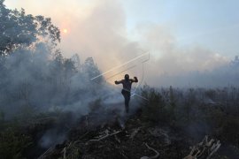Dua Lokasi Karhutla Dumai kembali terbakar. Kok bisa?