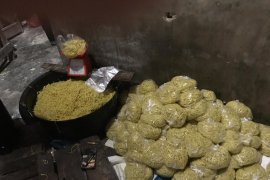 Wow, poduksi mi berformalin di Pekanbaru capai 960 kilogram setiap hari