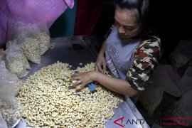 Kacang Mente kualitas ekspor Page 2 Small