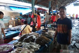 Harga ikan laut  naik