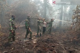 Vidio - Ratusan hektare lahan perkebunan warga di Bengkalis ludes akibat Karhutla