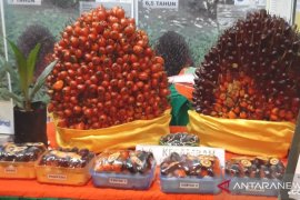 Pasar sawit Indonesia bisa dipertahankan untuk India-Tiongkok