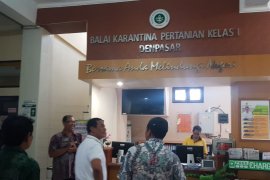Balai Karantina cegah makanan berbahan babi masuk Bali