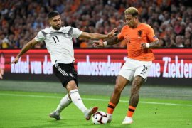 Pertarungan dua singa terluka, siapa menang?