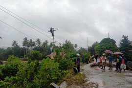 PLN Papua kebut perbaikan tower PLTA Orya pascabanjir Sentani