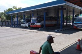 Jumlah pengguna jasa angkutan menurun, belasan perusahaan otobus "berguguran"
