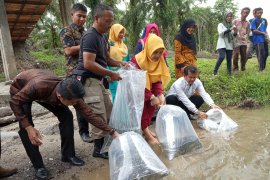DPKP Agam tebar 16 ribu bibit Ikan garing di dua lubuk larangan