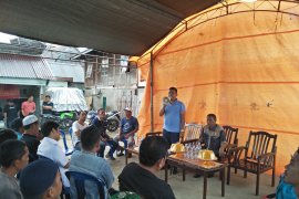 DPRD Sulbar dorong petani kakao di Mamuju kembangkan teknologi sambung pucuk