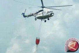 100 hektare lahan terbakar di Siak selama Maret