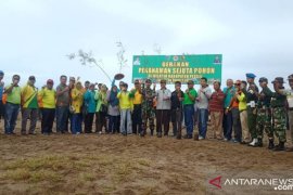 Pessel Manfaatkan Cemara Udang Atasi Abrasi Pantai