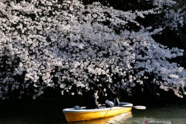 Versi Blibli, lima destinasi internasional favorit milenial