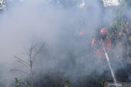 Waspadai penurunan tinggi muka air gambut  cegah karhutla