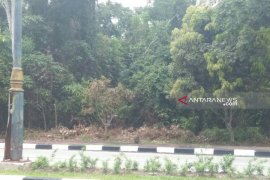 DPRD Siak minta kejelasan lahan di Jalan Raja Kecik