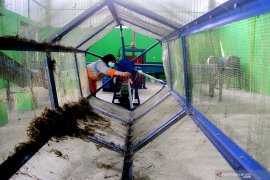 Pusat Daur Ulang Sampah Malang