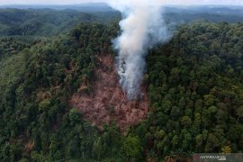 Membuka Lahan dengan Cara Membakar Page 3 Small