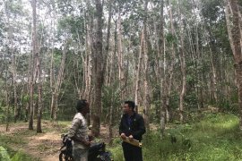 Serapan KUR ritel Bank Kalsel Tabalong capai Rp7 miliar