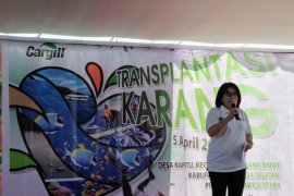 Dinas LH transplantasi terumbu karang di Minahasa Selatan