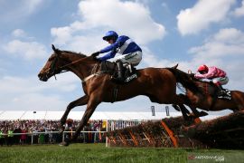 Balap kuda Grand National Festival di Liverpool, Inggris