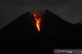 Guguran lava pijar meluncur dari Gunung Merapi