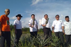 Menyulap bara api jadi sumber ekonomi