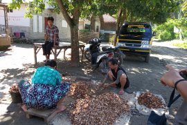 NTP Lampung turun 0,24 persen