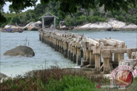 Menunggu realisasi kerja PLN usai DXI