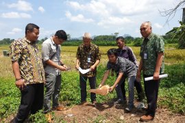BBKSDA tinggalkan tim gabungan dan kejar tujuh truk angkut kayu sonokeling