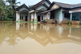 Puluhan rumah terendam banjir di Mesuji Page 2 Small