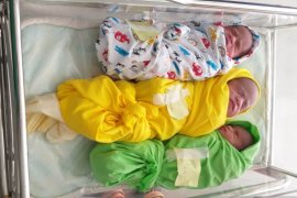 Bayi kembar tiga, lahir di Hari Jadi Aceh Jaya