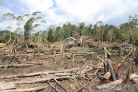 PEMBUKAAN LAHAN SEBAGAI BENTUK PROTES