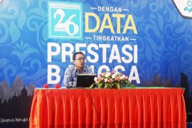 Pelabuhan Amapapare Mimika penyumbang ekspor terbesar di Papua