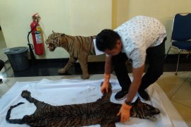 Polda Sumbar tangkap dua pelaku jual beli organ tubuh binatang langka