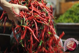 Jelang Ramadhan, harga cabai merah di Tapsel Rp41.000