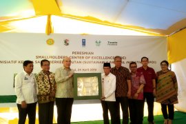 Begini cara UNDP-Yayasan Tanoto tingkatkan ekonomi petani sawit Kabupaten Pelalawan