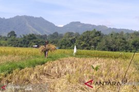 Ini sembilan daerah di Sumbar yang akan memasuki kemarau pada akhir Mei 2019