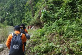 Basarnas: 12 Pendaki Masih Tersesat di Hutan Gunung Mekongga