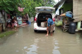 130 ha tambak ikan Tangerang siap panen diterjang banjir