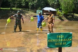 Kodim 0310 Sawahlunto Sijunjung Dharmasraya (SSD) uji coba pemanfaatan dekomposer BIOS 44