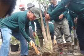 Pemkab Tapin peringati Hari Bumi di Ekowisata Bekantan