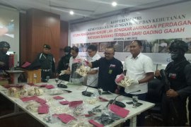 KLHK ungkap  perdagangan online gading gajah