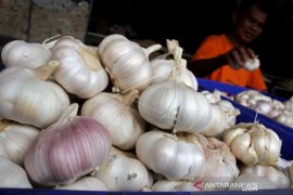 HARGA BAWANG PUTIH NAIK Page 1 Small