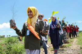 Aktivis tanam ratusan pohon di kawasan geotermal Gunung Seulawah
