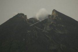 Gunung Merapi mengeluarkan lava pijar hampir 1Km