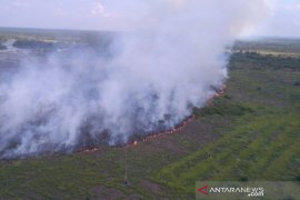 Karhutla berkobar di zona inti Cagar Biosfer Riau. Begini upaya pemadamannya