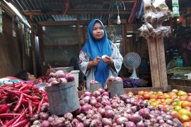 Pedagang di Mamuju keluhkan lonjakan harga bawang