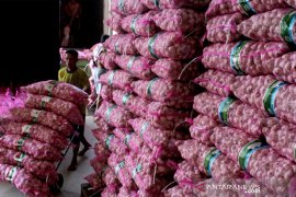 Stabilisasi harga bawang putih di Makassar Page 1 Small