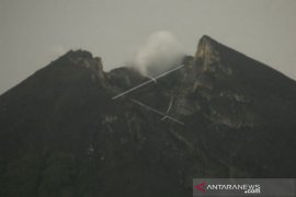 Gunung Merapi erupsi, lava pijar sejauh 650 meter