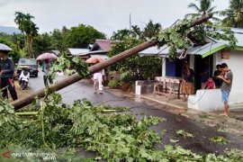 BPBD Agam bentuk enam posko selama arus mudik Lebaran