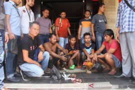 Polisi datang penjudi sabung ayam kocar-kacir terjun ke rawa