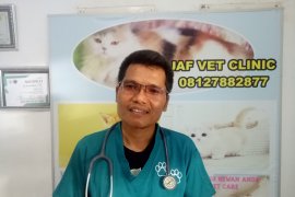 Dokter ingatkan jangan lengah wabah berasal dari hewan